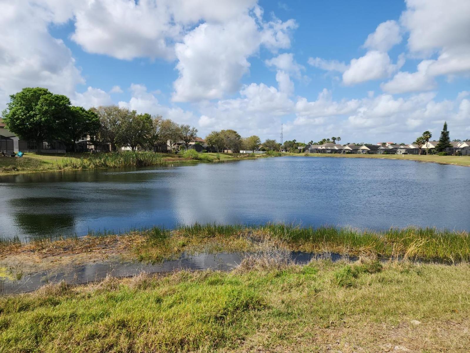 Scuttle Vacation Pool Home Wspa Orlando Esterno foto